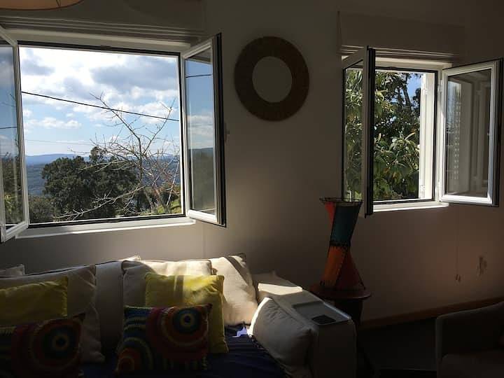 Nature's Haven Retreat in Pedrogao Pequeno, Aldeias do Xisto