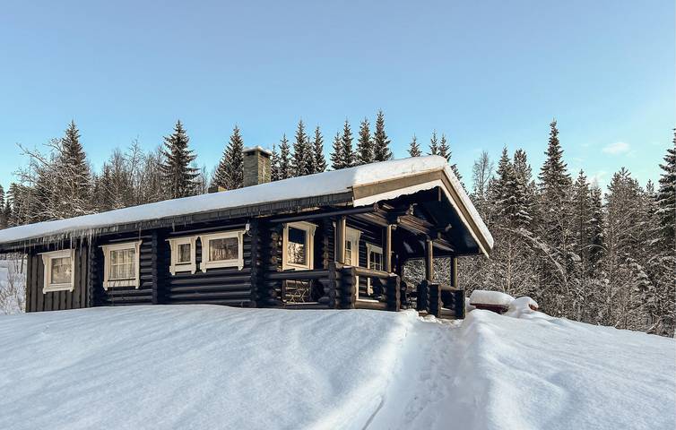 Ferienhaus für 6 Personen, mit Garten und Terrasse, mit Haustier in Trysil - 2