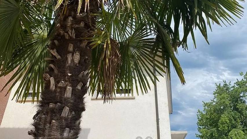 Appartement de vacances pour 6 personnes, avec balcon