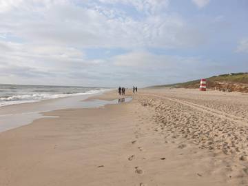 Ferienhaus für 8 Personen in Ringkøbing, Holmsland Klit, Bild 3