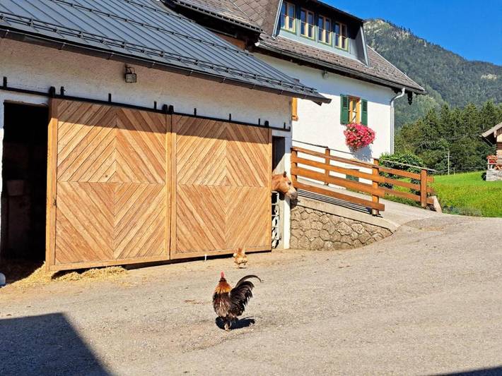 Gîte pour 6 personnes, avec jardin et vue à Sankt Wolfgang im Salzkammergut - 4
