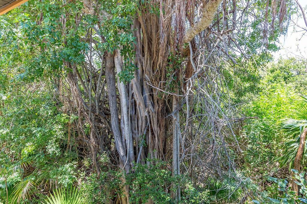 The Florida Keys Treehouse in Marathon, Fl in Marathon, Monroe County