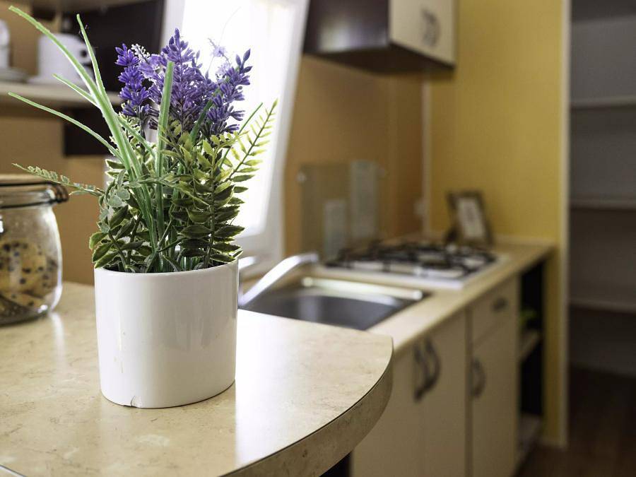 Camping Le Domaine Aramis - Mobilheim 4 personen - Confort 3 Zimmer 4 Personen in Marsan, Gers