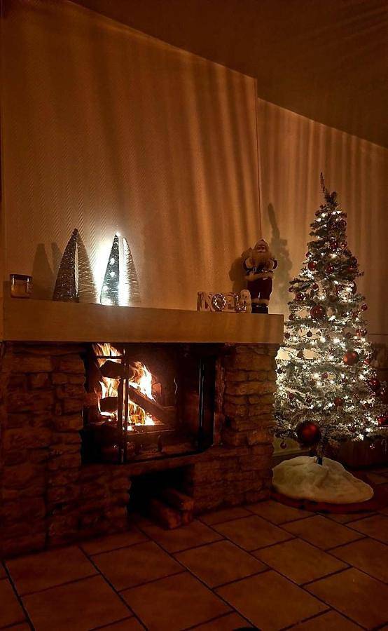 Location de vacances pour 8 personnes, animaux acceptés à Les Riceys - 2