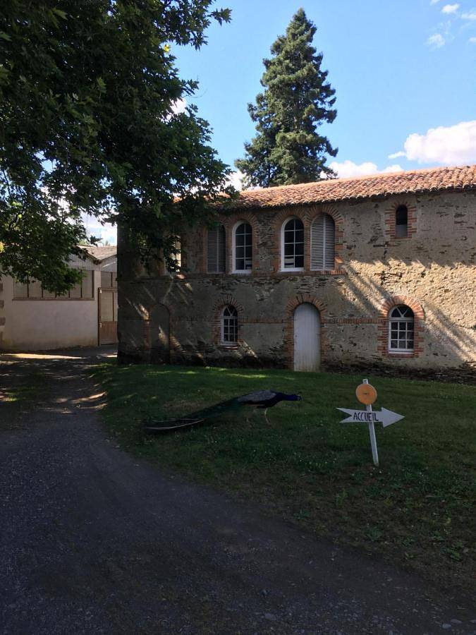 Cabanes et Studios à la Bernardiere in Sèvremoine, Région de Cholet