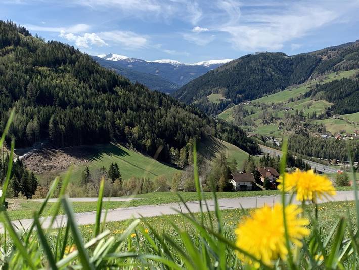 Ganze Ferienwohnung, Biohof Laußnitzer - Ferienwohnung mit zwei Schlafräumen in Rennweg am Katschberg, Bezirk Spittal an der Drau