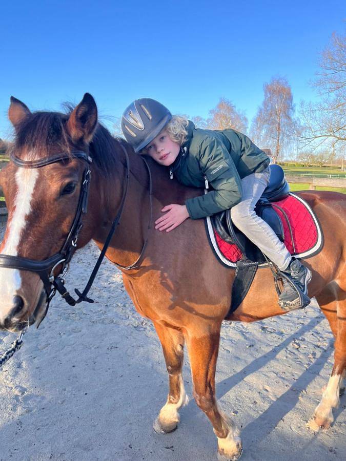Ganze Wohnung, Familienurlaub mit Hund, Wellness & Bauernhoferlebnis im Münsterland in Mettingen, Münsterland