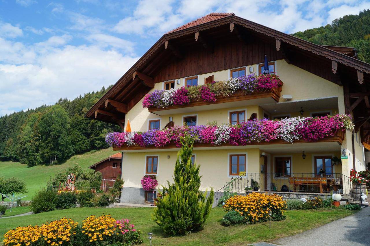 Geheel appartement, Apartment with Balcony in Mondsee & Irrsee