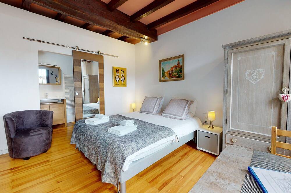 Appartement entier, Le studio bartholdi with access to lounge in Colmar, Région de Colmar