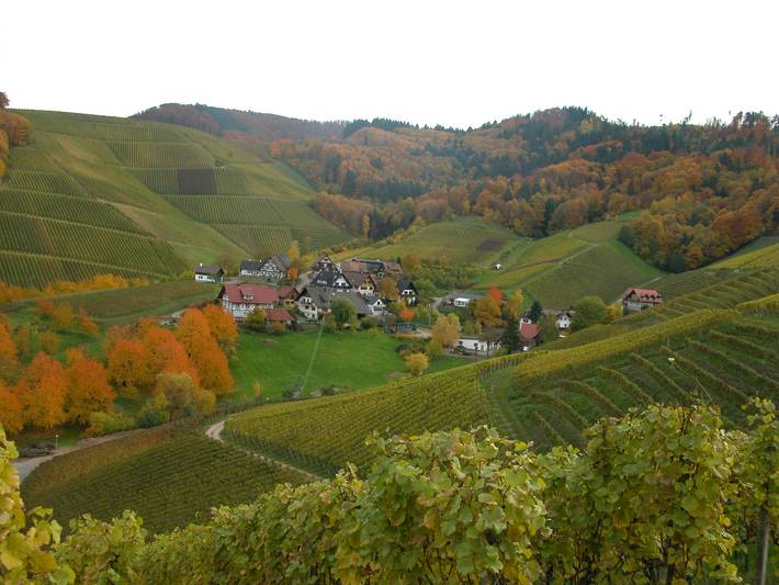 Location de vacances pour 4 personnes, avec terrasse ainsi que jardin et sauna à Durbach - 3
