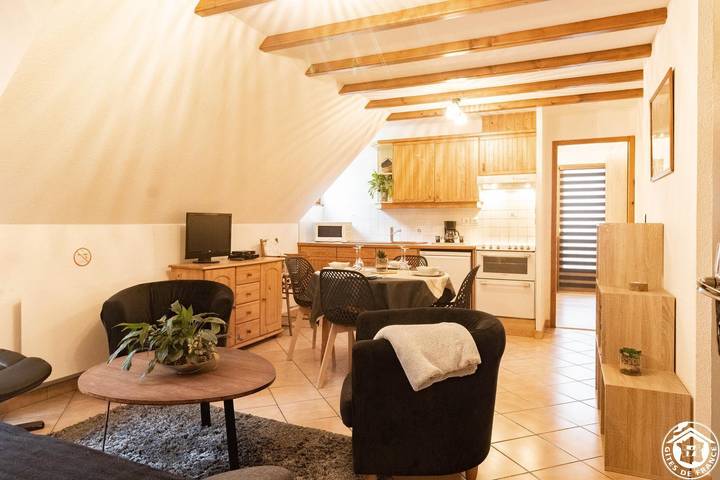 Gîte pour 4 personnes, avec jardin à Aragnouet - 2