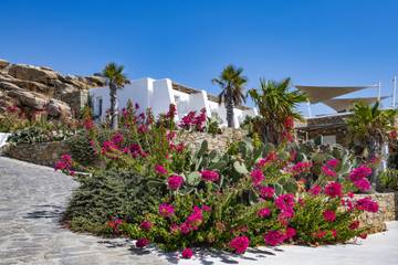 Villa With Pool for 4 People in Mykonos, Cyclades, Photo 2