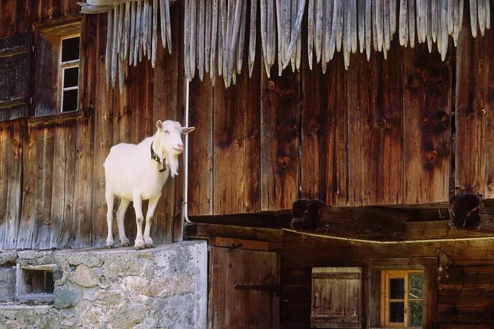 Chambre d’hôte pour 2 personnes, avec sauna ainsi que balcon et vue à Sankt Gallenkirch - 3