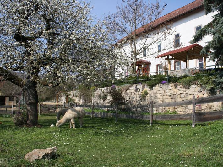 Ferienwohnung für 4 Personen, mit Garten