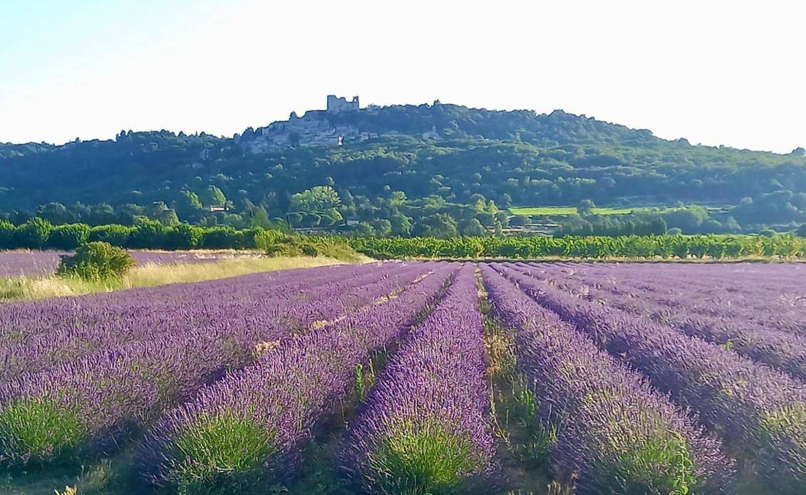 Double Room with Private External Bathroom in Lagnes, Parc naturel régional du Luberon