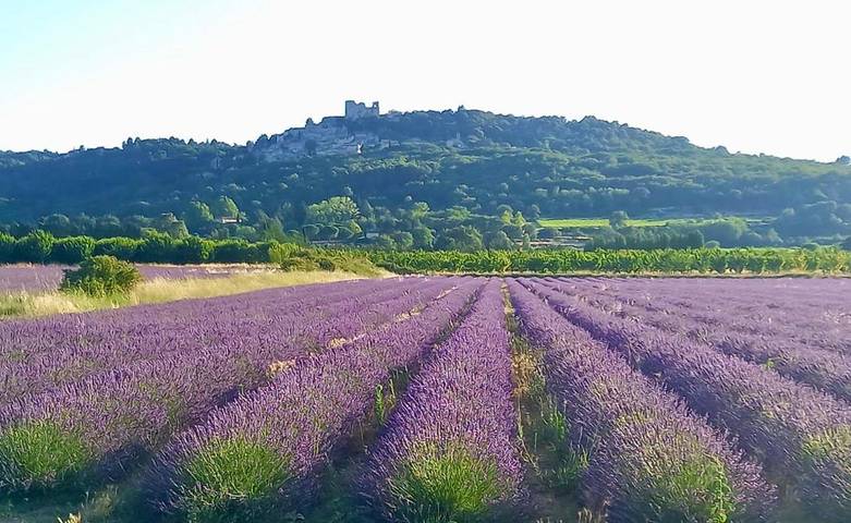 Gîte pour 2 personnes, avec vue ainsi que piscine et jardin à Lagnes - 2
