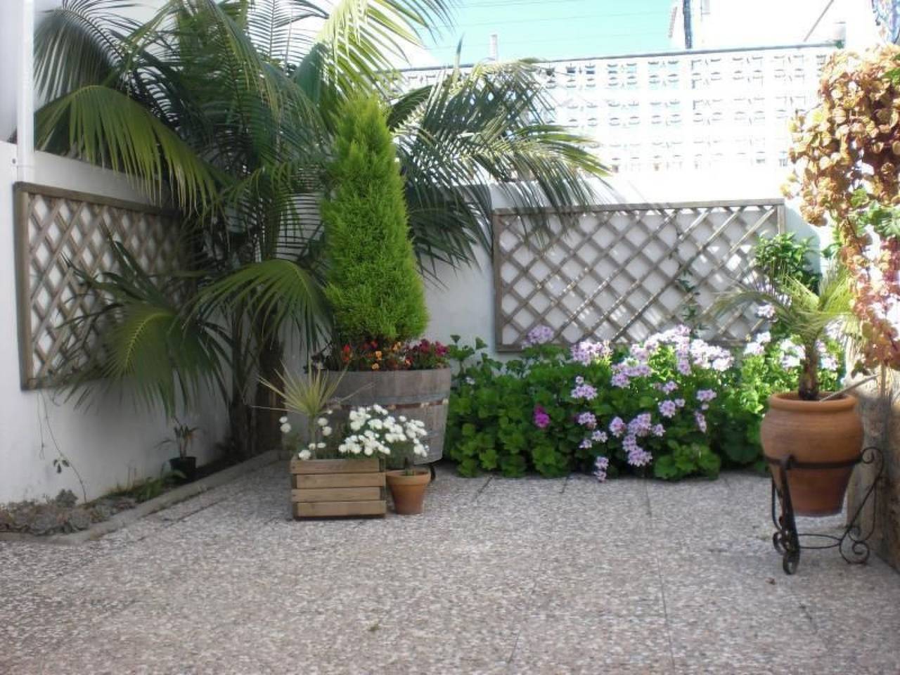 Touristenwohnung "Apartment" mit Terrasse in Chipiona, Costa de la Luz