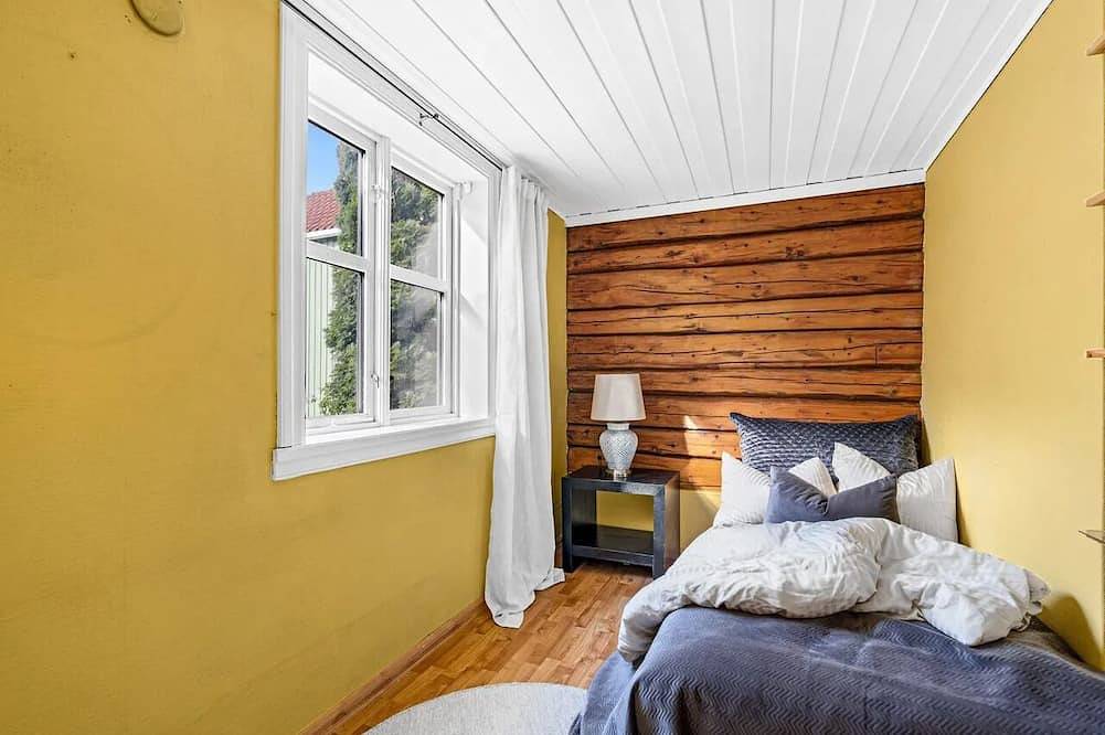Detached house in Bakklandet, panoramic views of Nidaros Cathedral in Trondheim