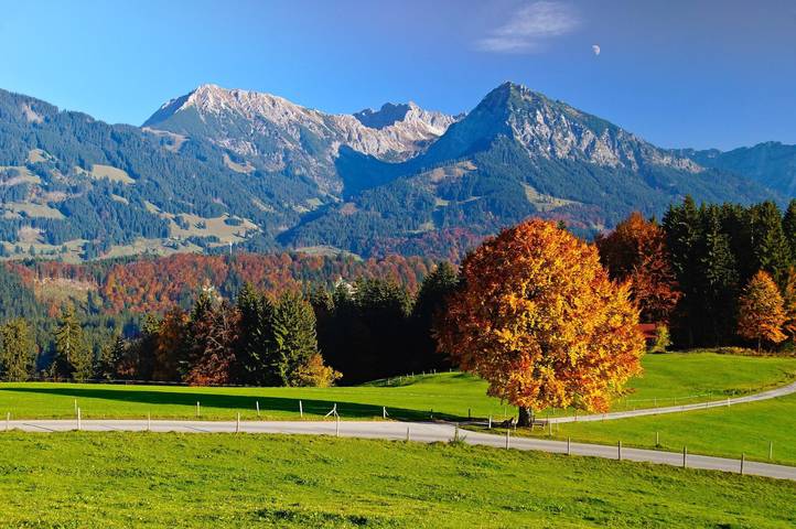 Ferienwohnung für 4 Personen, mit Garten und Terrasse im Allgäu - 3