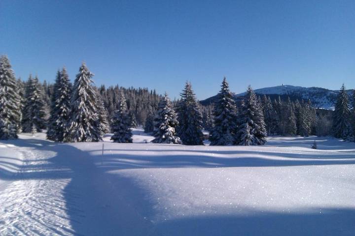 Gîte pour 6 personnes, avec jardin et vue à Prémanon - 4