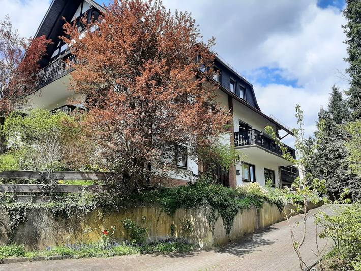 Ferienwohnung für 4 Personen, mit Terrasse in Hallenberg
