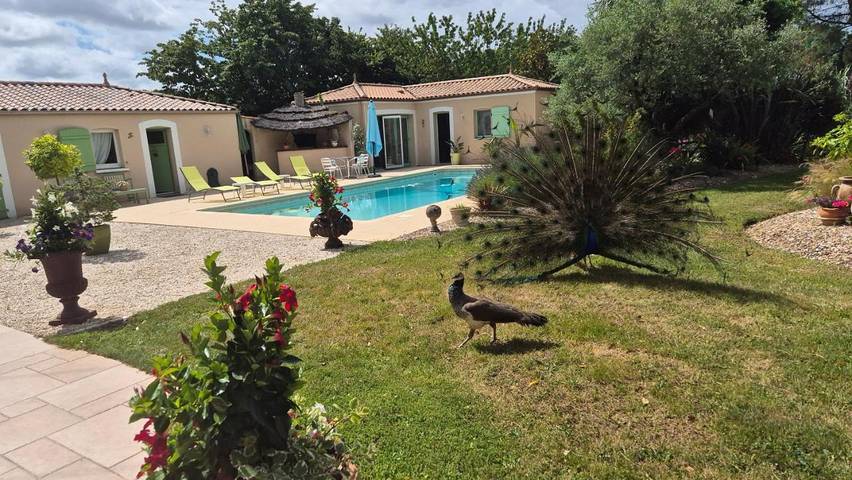 Bed and breakfast for 2 people, with pool and view as well as garden - 1