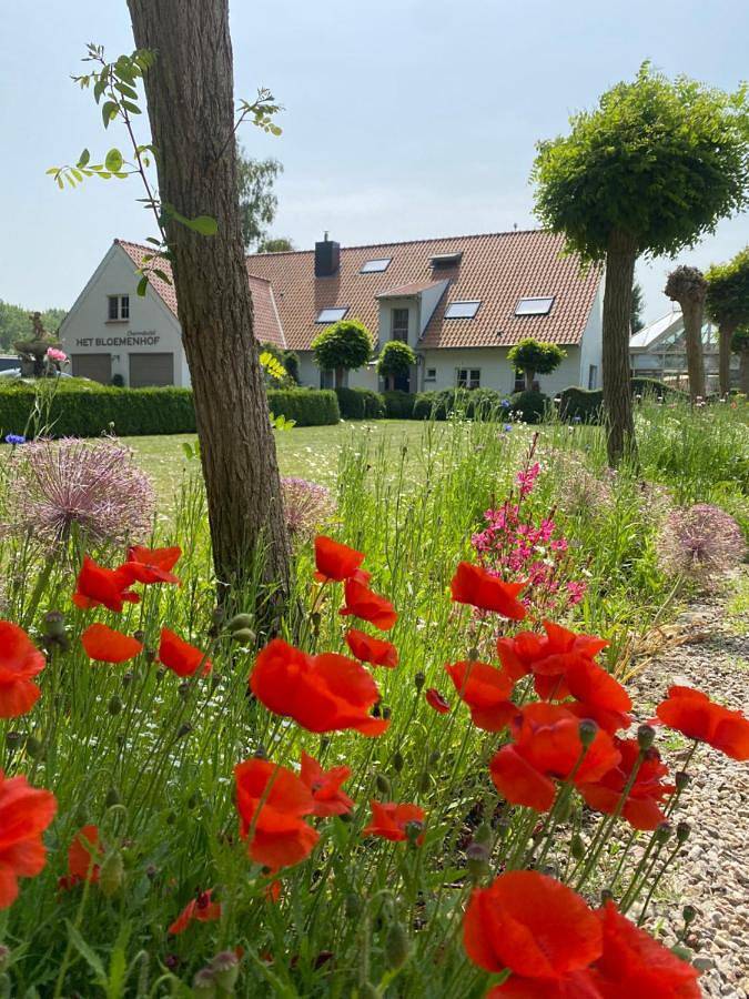Boutique hotel Het Bloemenhof in Dudzele, Bruges