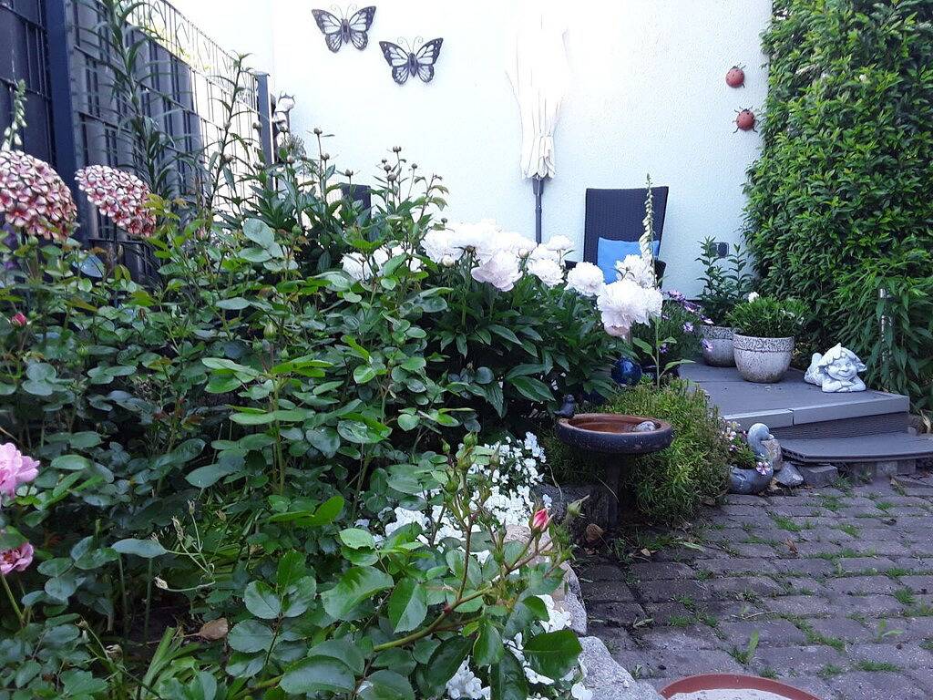 Ferienwohnung mit 2 Schlafzimmer in Hafen Cuxhaven, Cuxhaven