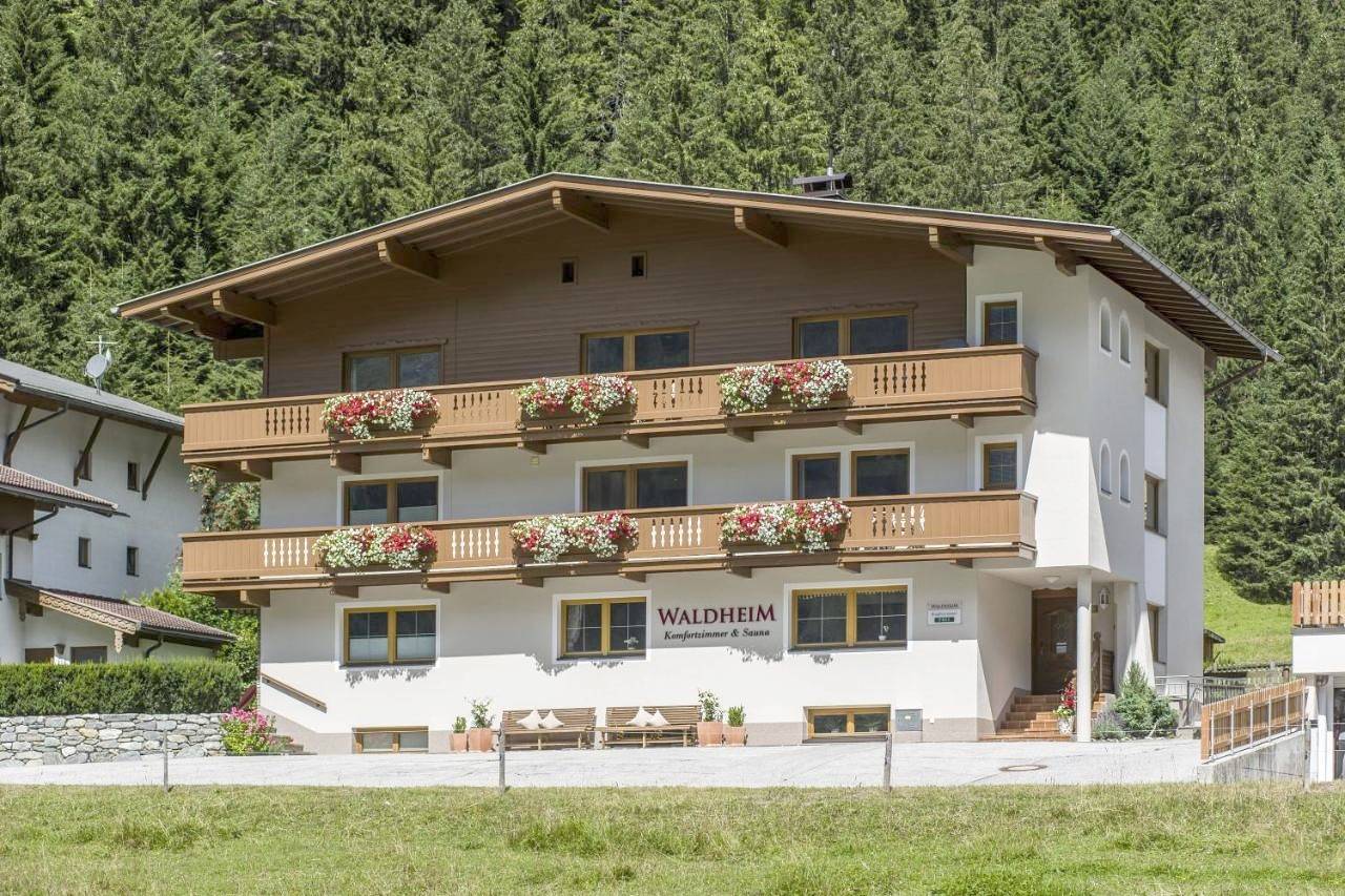 Single Room with Shower in Madseit, Hintertux
