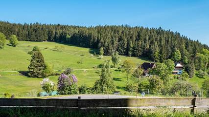 Ferienwohnung für 5 Personen in Schonach im Schwarzwald, Hochschwarzwald, Bild 4