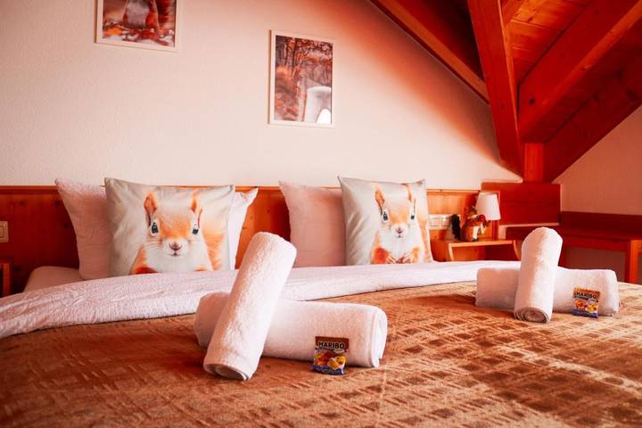 Maison d’hôte pour 2 personnes, avec piscine ainsi que terrasse et sauna, animaux acceptés à Schluchsee - 3