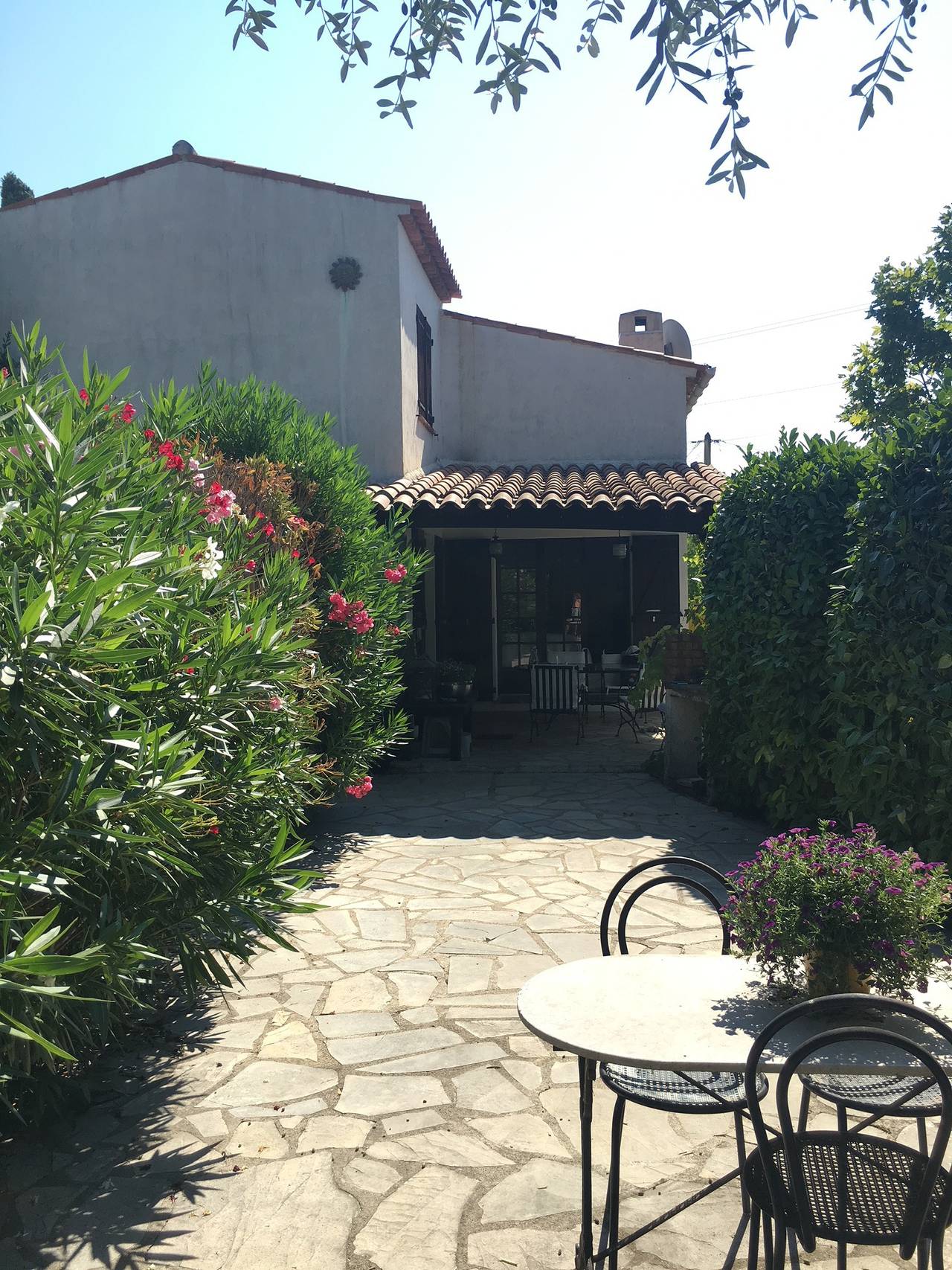 La Tulipe in Grasse, Côte méditerranéenne (France)