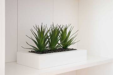 Holiday Rental for 7 People in Dubrovnik, Grad Dubrovnik, Photo 2