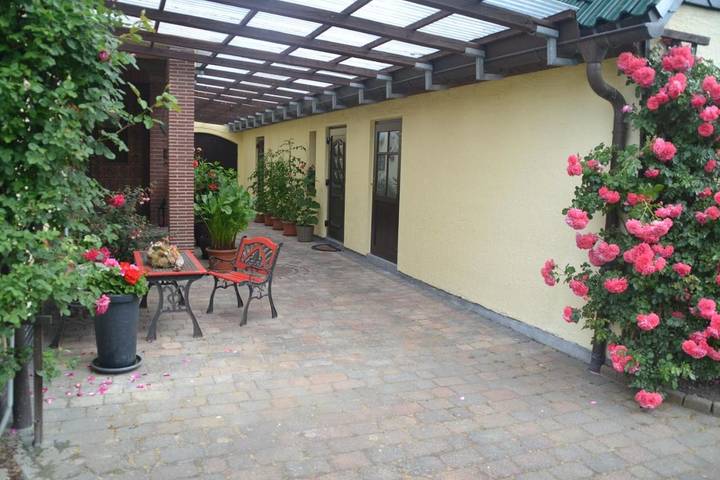 Ferienwohnung für 2 Personen, mit Terrasse und Garten sowie Sauna und Seeblick in Schaprode - 3