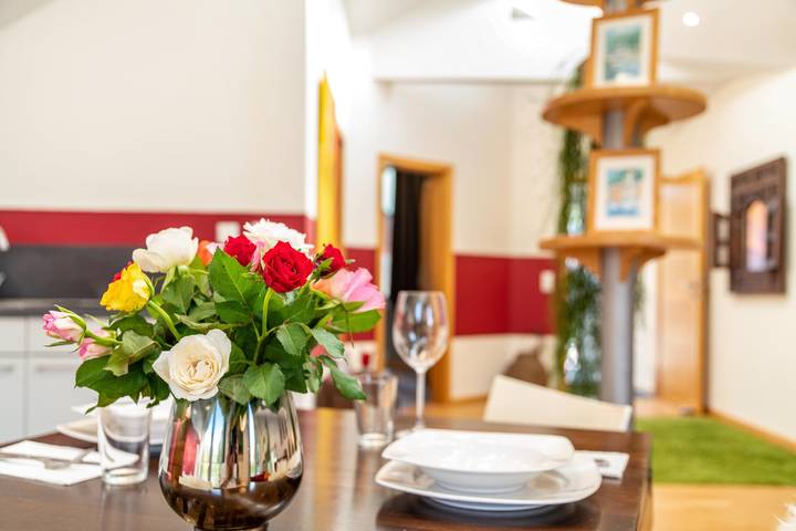Hel lägenhet, Charming 70 sqm Holiday Apartment with Wi-Fi by Christine van Impelen in Passau, Passauer Land