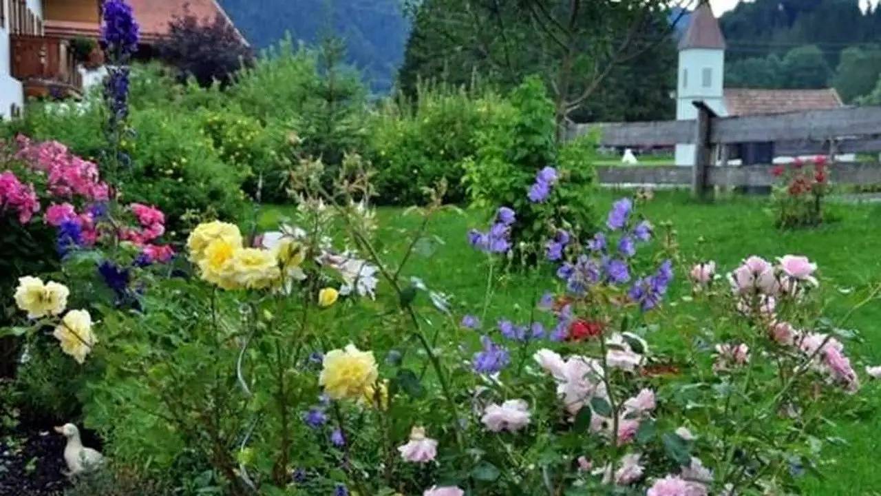 Ganze Ferienwohnung, Ferienwohnung für 3 Personen (23 m²) in Bayrischzell in Bayrischzell, Spitzingsee
