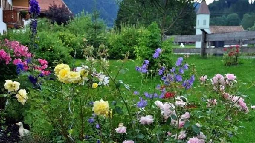 Ferienwohnung für 3 Personen, mit Terrasse und Garten in Bayrischzell - 2