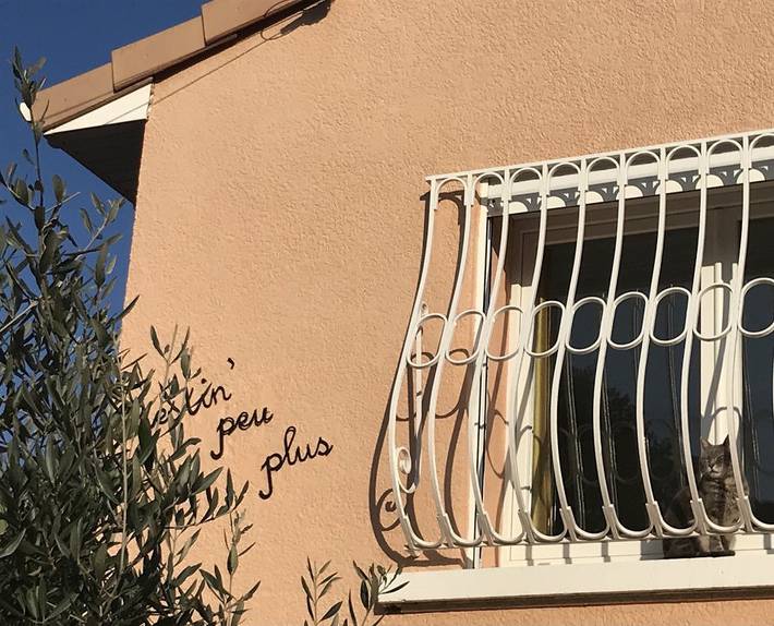 Chambre d’hôte pour 4 personnes, avec piscine et jardin dans l' Hérault - 3