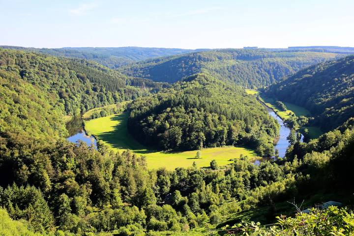 Camping für 4 Personen, mit Haustier in Belgien - 4