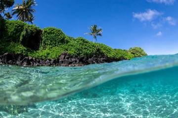 Vacation House for 6 Guests in Paia, Maui, Picture 1