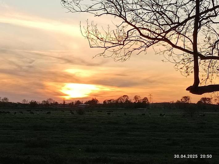 Location de vacances pour 8 personnes, avec jardin et vue, adapté aux familles à Rhauderfehn - 2