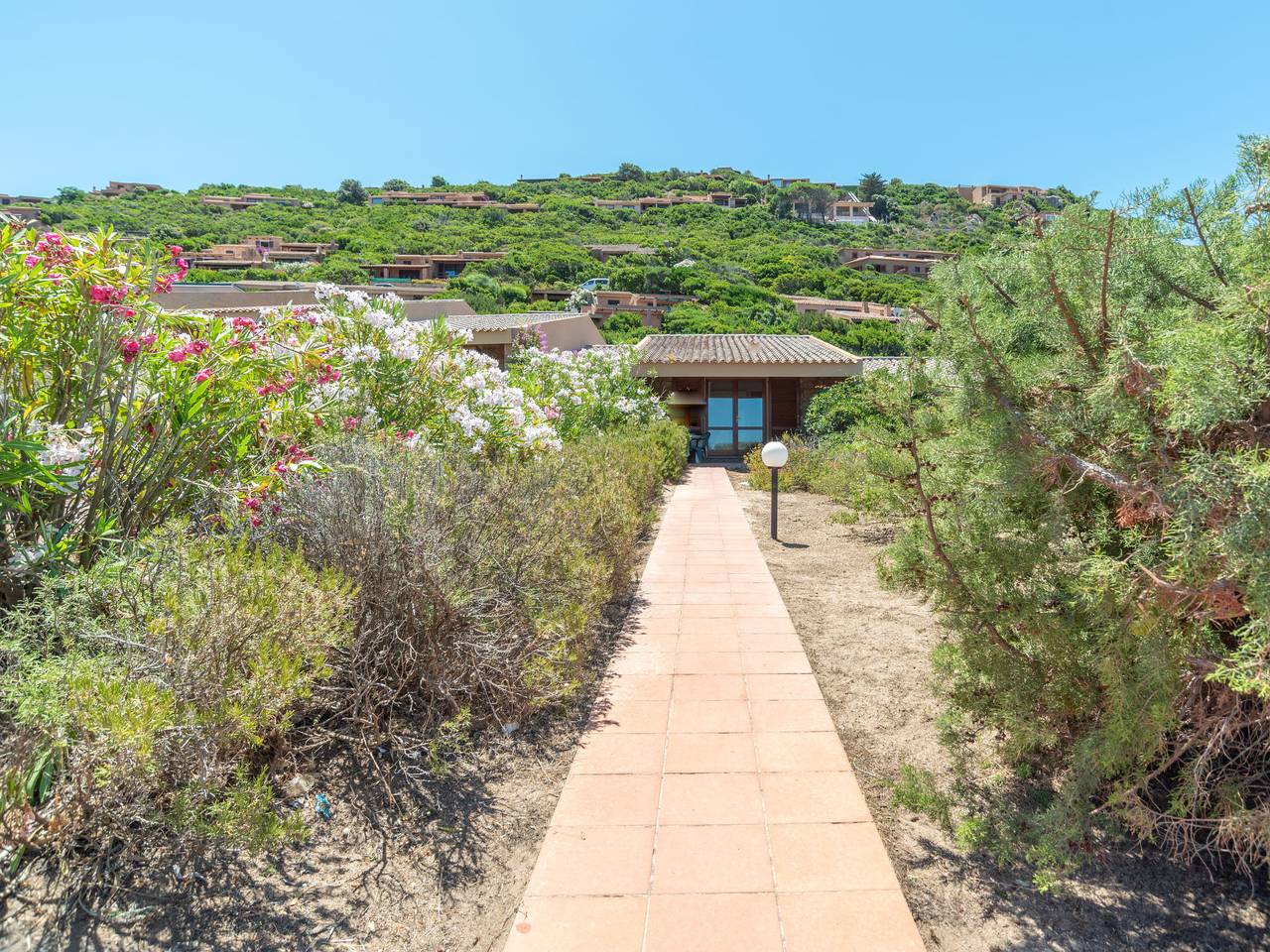 Corbezzolo in Costa Paradiso, Trinità d'Agultu e Vignola
