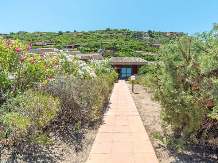 Corbezzolo in Costa Paradiso, Trinità d'Agultu e Vignola