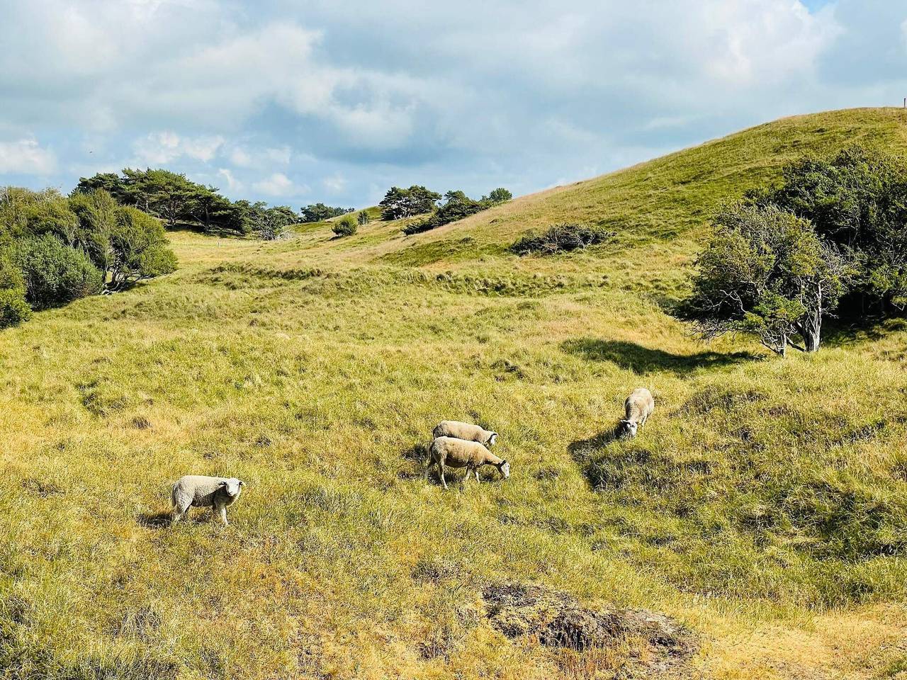 Luxury Retreat with Pool - By Traum Ferienwohnungen in Vejby Strand, Vejby