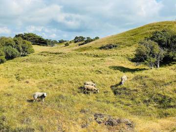 Ferieudlejning til 20 Personer i Vejby Strand, Vejby, Billede 2