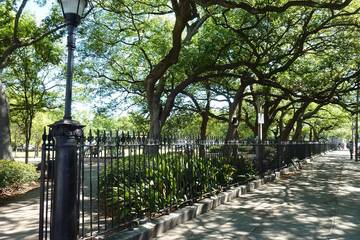 Bed And Breakfasts for 10 Guests in Faubourg Marigny, Orleans Parish, Picture 2