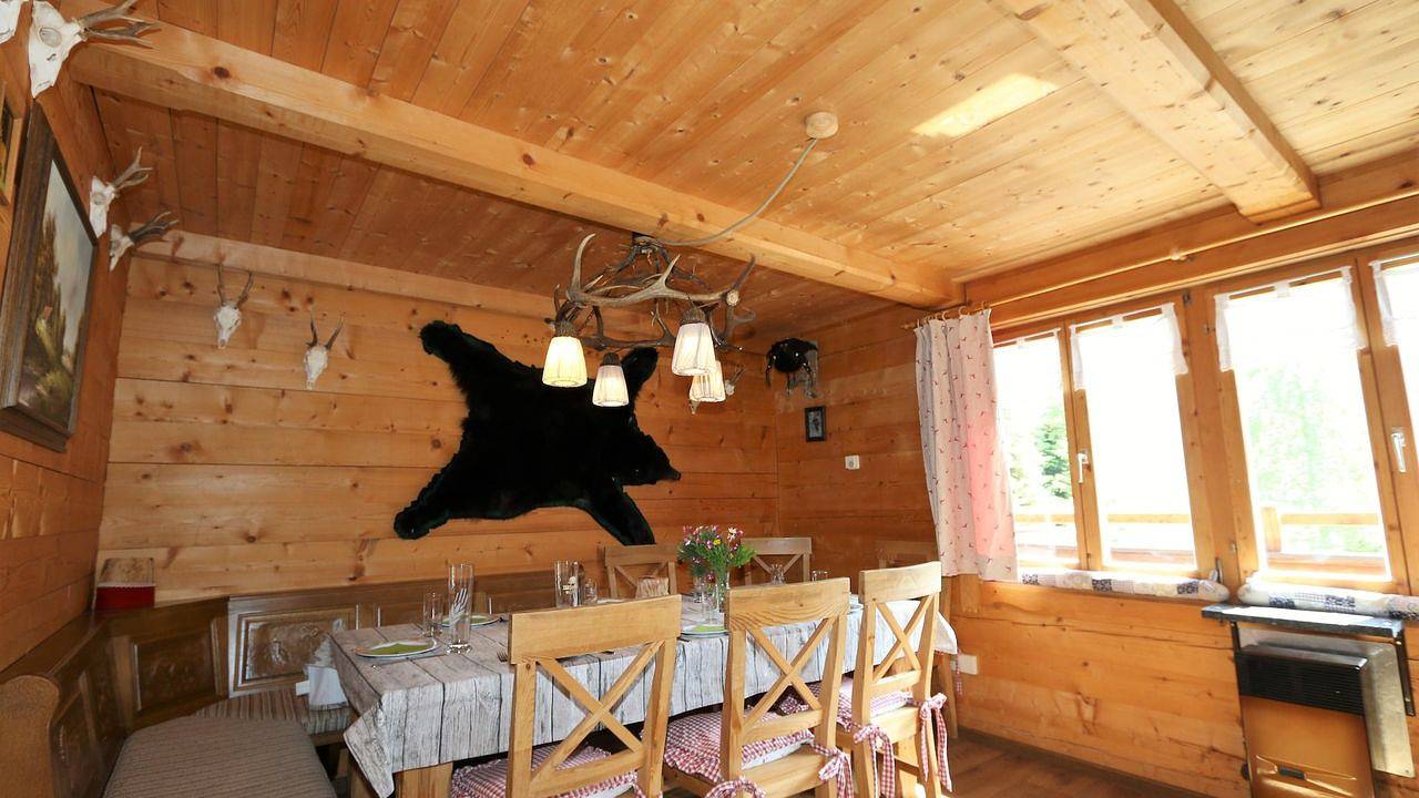 Geheel vakantieappartement, Vakantieappartement voor 8 personen met tuin in Hochfügen, Ski-Optimal Hochzillertal