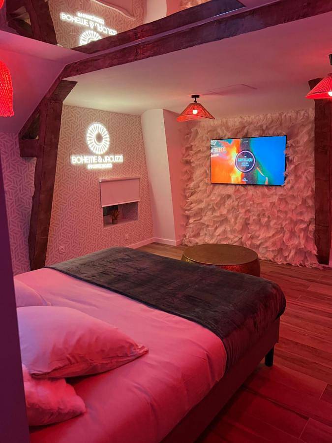 Gîte pour 2 personnes, avec terrasse ainsi que jardin et jacuzzi à Vienne (Isère) - 3