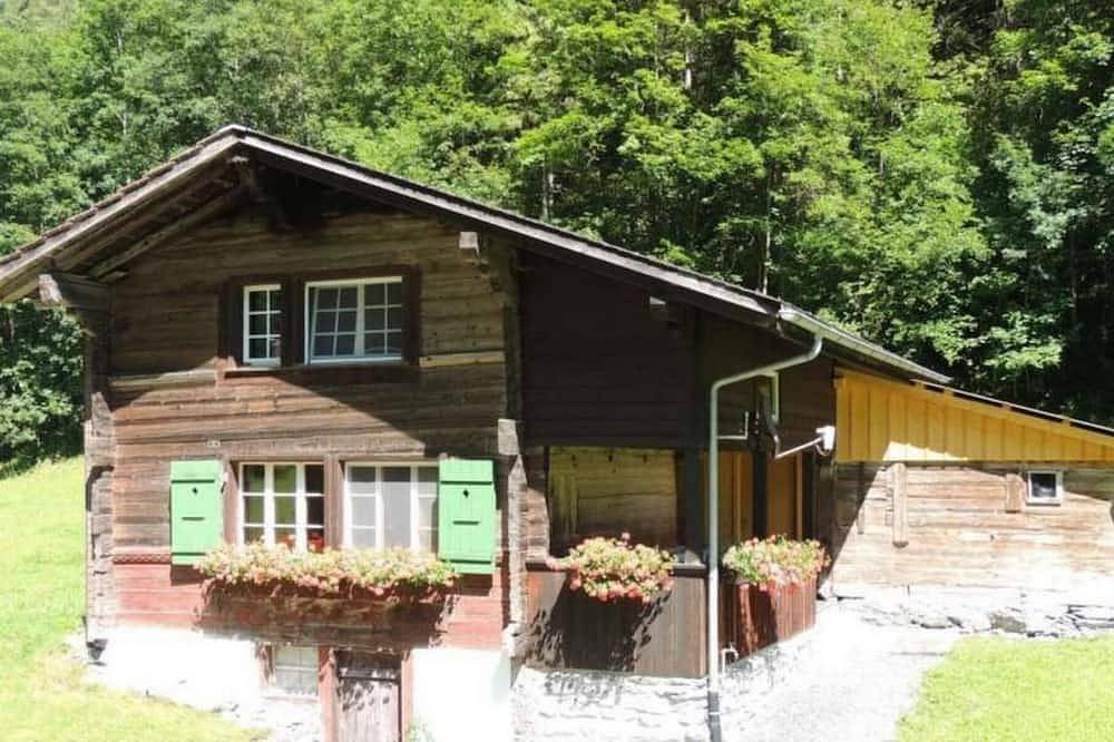 Lengwald \"Hiisli\ in Lauterbrunnen, Verwaltungskreis Interlaken-Oberhasli