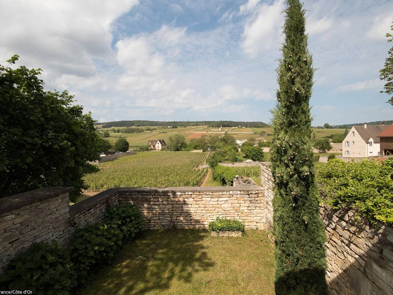 Maison lumineuse au cœur de Meursault avec jardin et accès à cave de dégustation in Meursault, Région de Beaune